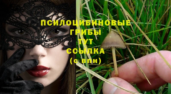спиды Верхний Тагил
