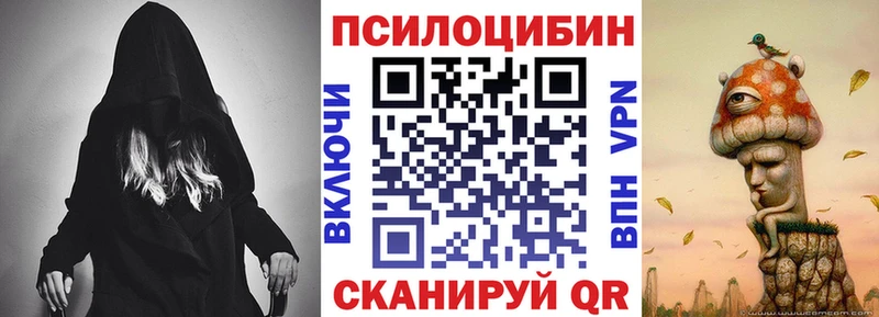 даркнет Telegram  где купить   Ставрополь  Галлюциногенные грибы Magic Shrooms 